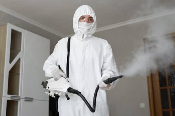 Best Asbestos and Lead Testing During Mold Inspection  in USA